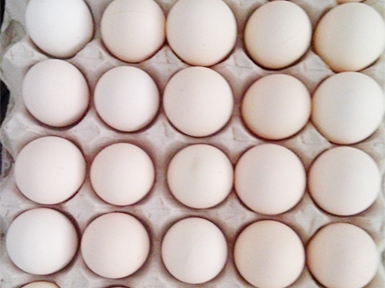 海藍(lán)白 雞蛋